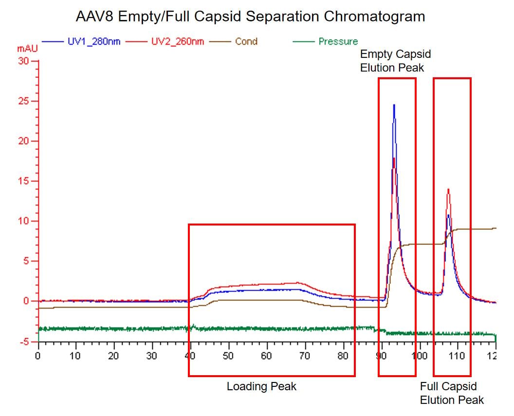 AAV8 Capsid Enrichment Chromatogram