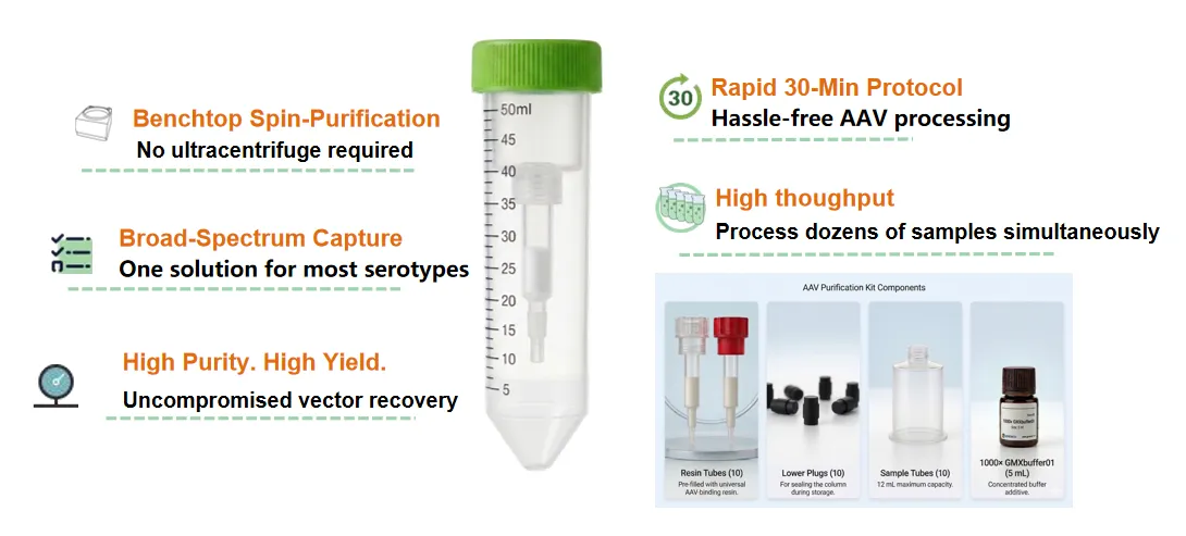 PurProX AAVEasy Spin Column for rapid AAV purification without ultracentrifugation