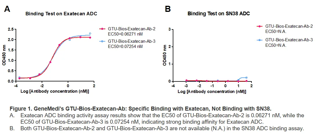 Exatecan-Figure-Validation-1
