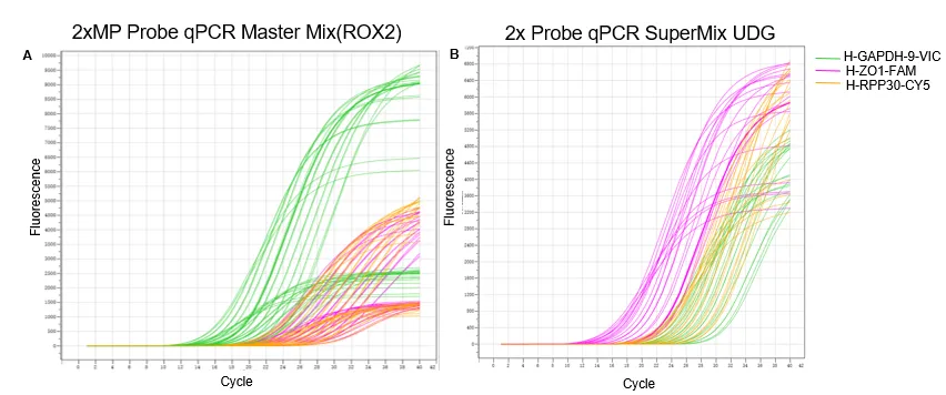 Silver staining of AAV6 purification