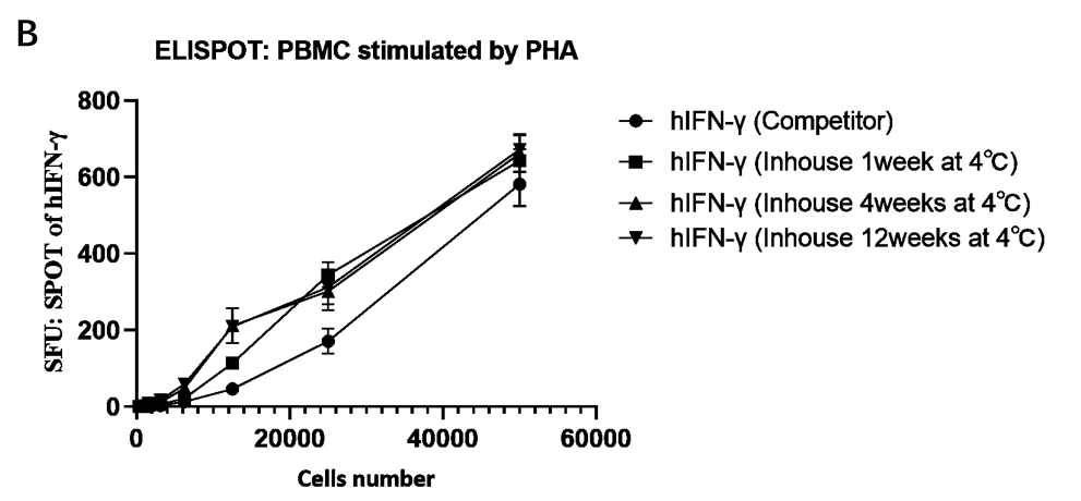 GMP-h-IFN Validation