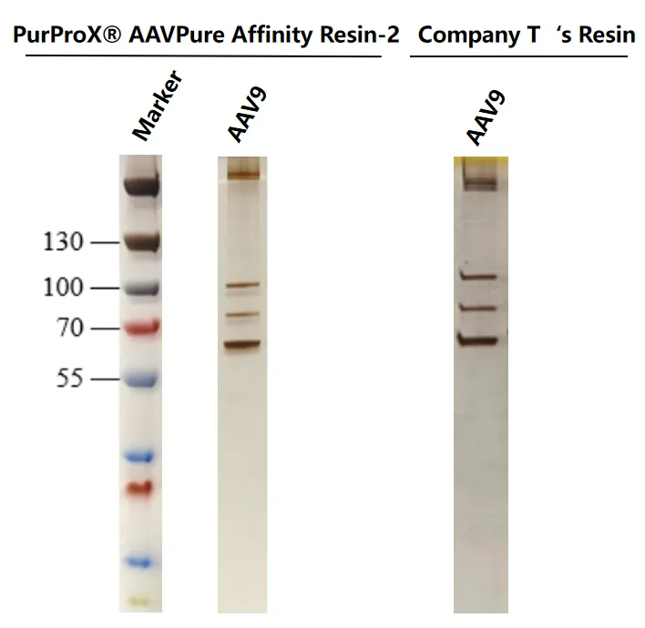 AAV8 purified with AAV affinity resin by AKTA