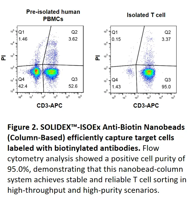 SOLIDEX™-ISOEx Anti-Biotin Nanobeads (Column-Based) efficiently capture target cells labeled with biotinylated antibodies. 