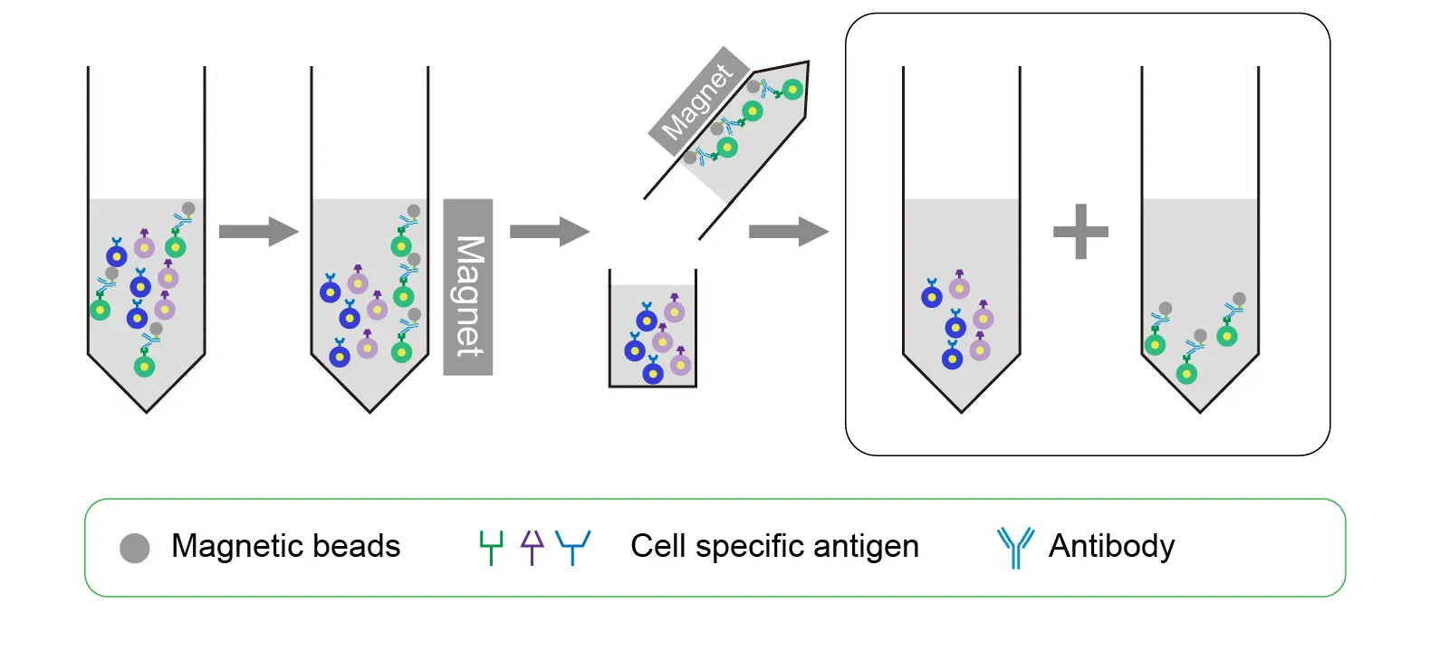 Column-Free Magnetic Separation