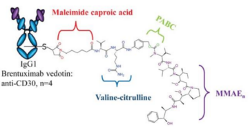 Structure of Adcetris