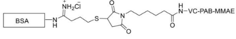 Structure of BSA-MMAE