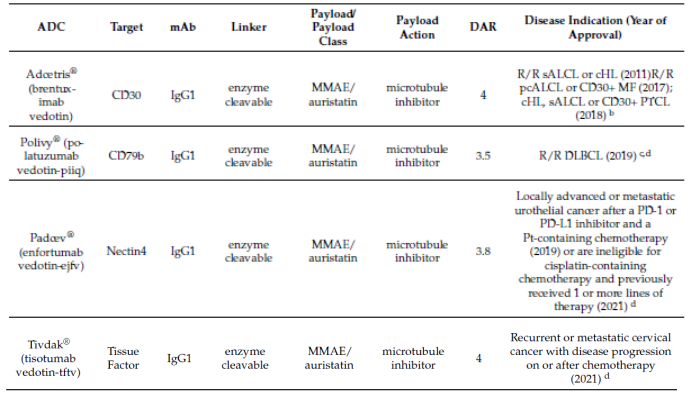 FDA approved ADC that the payload is MMAE
