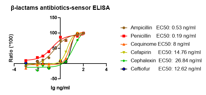 Detection of the beta-lactams in ELISA.