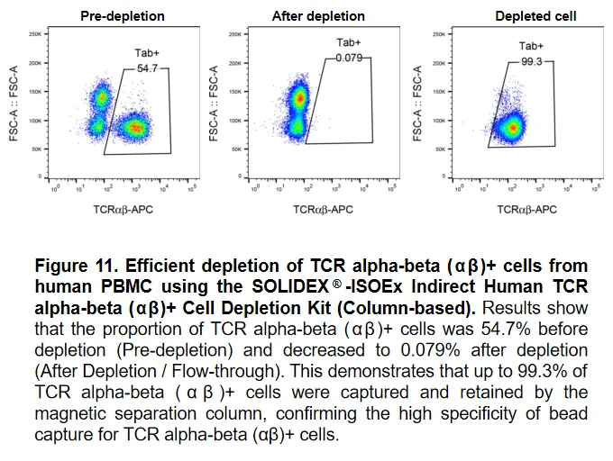 ISOEx Cell Isolation Kit & Nanobeads validation