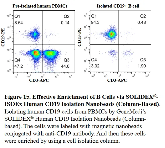 ISOEx Cell Isolation Kit & Nanobeads validation