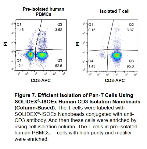 ISOEx Cell Isolation Kit & Nanobeads validation