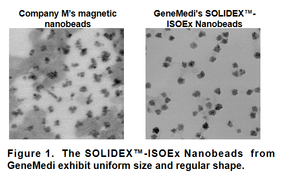 ISOEx Immunocytes Cell Isolation Immunomagnetic Beads validation