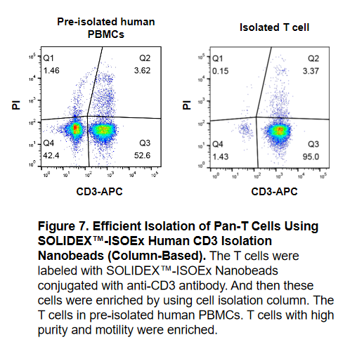ISOEx Immunocytes Cell Isolation Immunomagnetic Beads validation