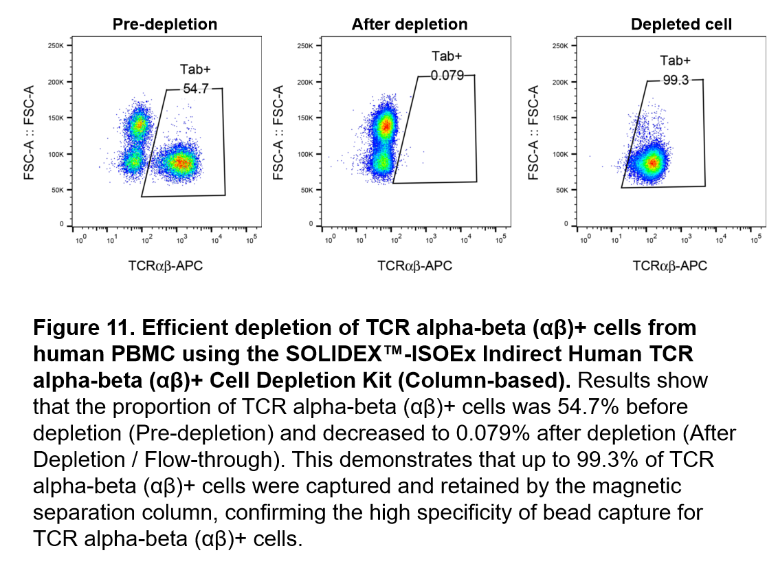 ISOEx Cell Isolation Kit & Nanobeads validation