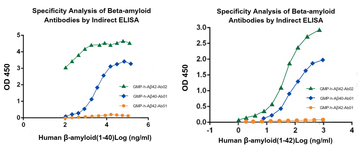 beta-amyloid 40 beta-amyloid 42 ELISA Validation