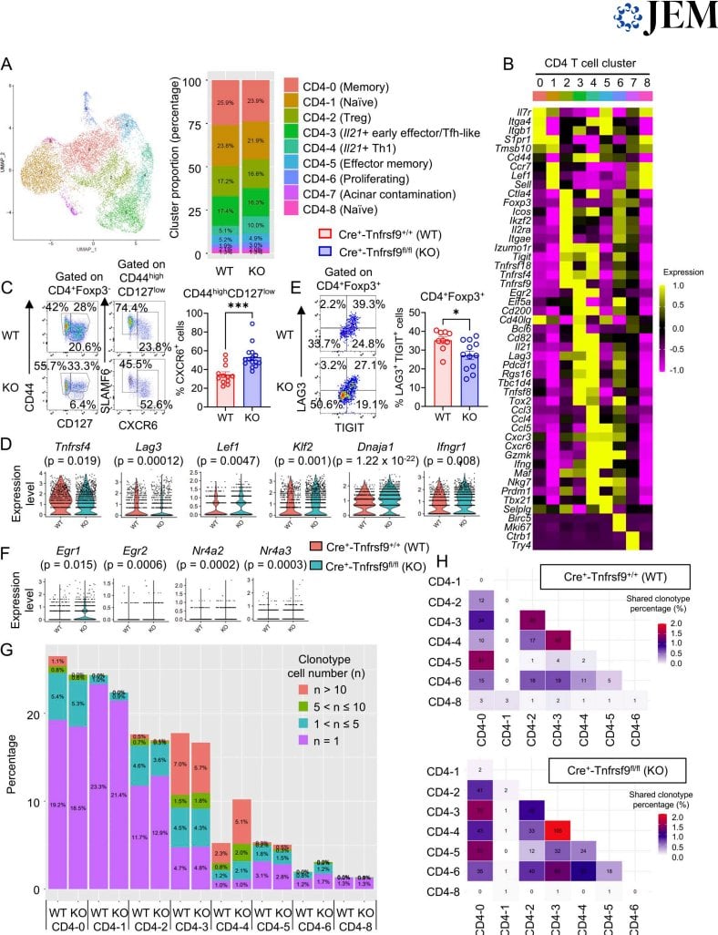 Figure 3 Секвенирование единичных клеток выявляет изменения дифференцировки CD4 T-клеток