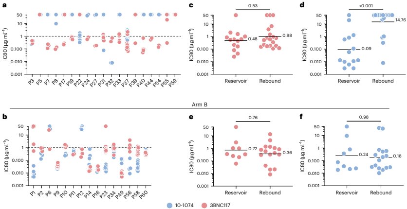 Why HIV Rebounds Later After Dual-Antibody Treatment Is Stopped