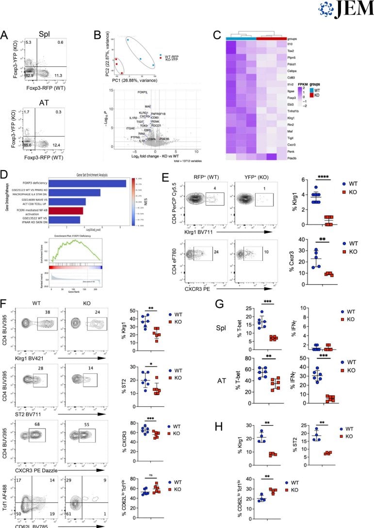 Figure 8 Treg defect is cell-intrinsic in chimeric mice