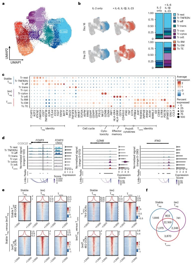 Figure 2 单细胞多组学揭示Treg失稳的分子标志